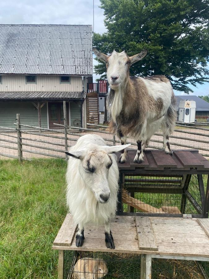 J A Ranch Bed & Breakfast Stromsnasbruk Luaran gambar